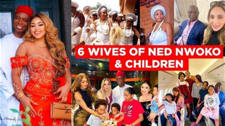 Ned Nwoko's Polygamous Marriages: A Comprehensive Guide To His Wives