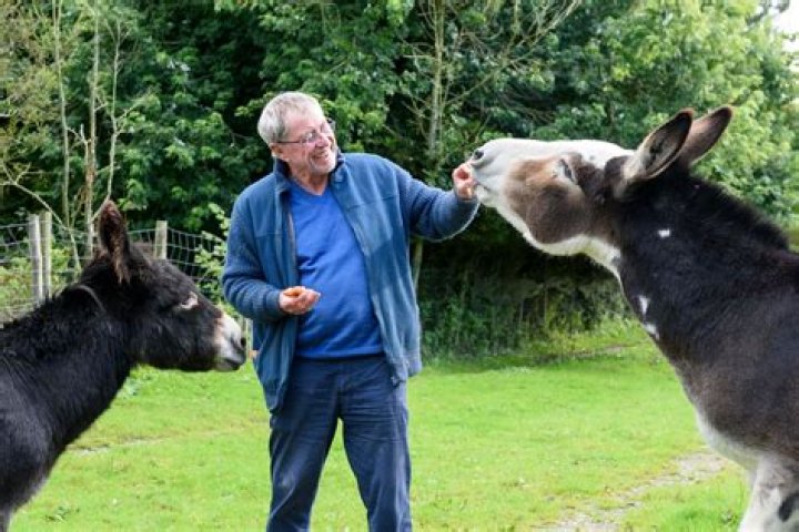 Exploring The Life And Career Of The Nettles Actor