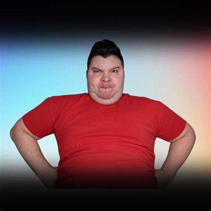 Top Nick Avocado Recipes: Delicious Creations With A Unique Twist