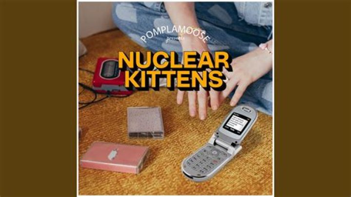Nuclear Kittens: The Purrfect Blend Of Power And Playfulness