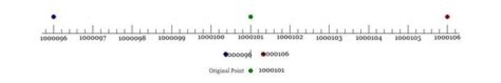 Numerical properties of 1000101