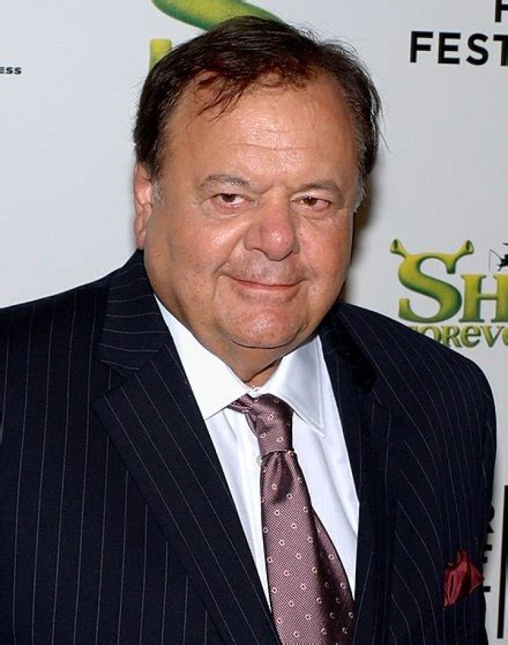 Exploring The Life And Legacy Of Paul Sorvino