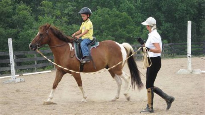 Princess Diana's Riding Instructor: Exclusive Photo