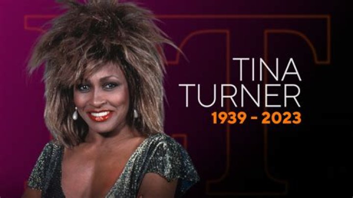 Eye-Catching Picture Of Tina Turner's Daughter