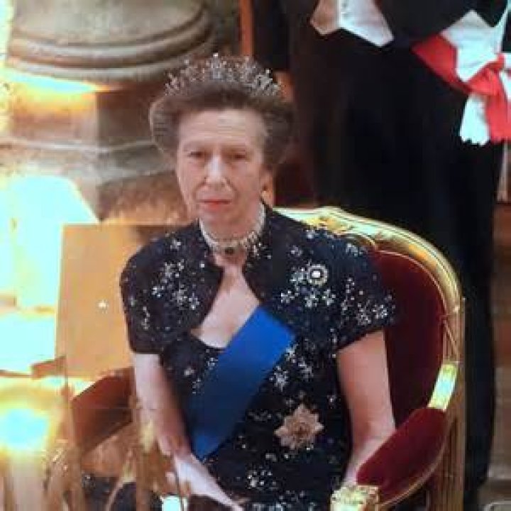 The Royal Divide: Queen Camilla And Prince Harry's Strained Relationship