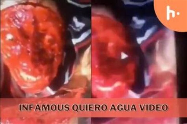 Unraveling The Mystery Behind Queiro Agua Gore Video