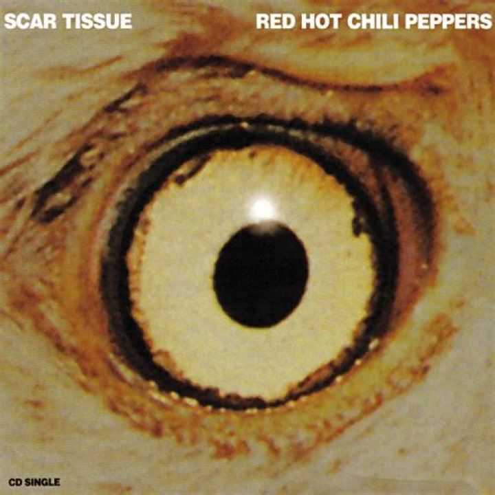 Exploring The Depths Of Red Hot Chili Peppers' "Scar Tissue"
