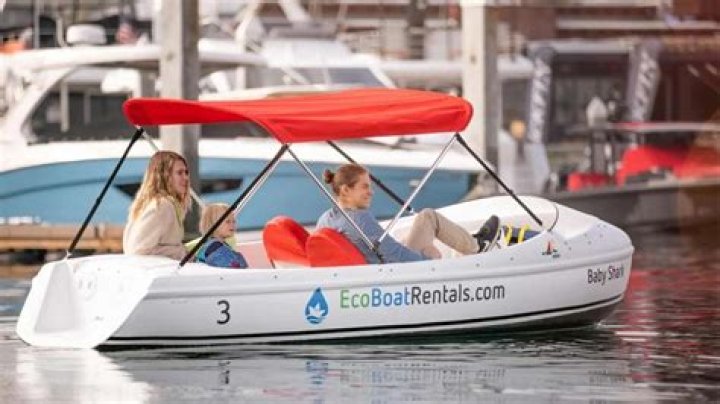 Experience Adventure With Rent A Pedal Boat Wheel Of Fortune