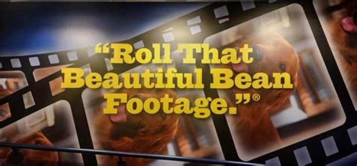 The Ultimate Guide To Rolling Beautiful Bean Footage