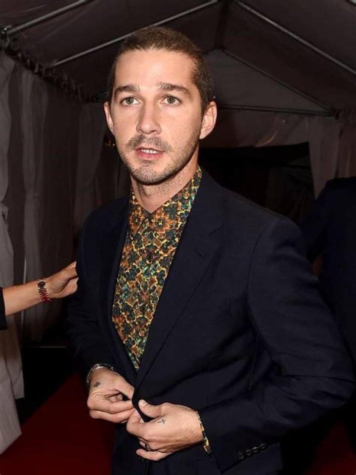 Enriching Shia Labeouf Heritage: A Comprehensive Guide