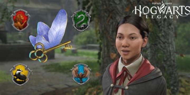 Deciding On The Relic In Hogwarts Legacy: Should I Take The Relic?