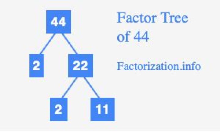 Show Factorization for 44