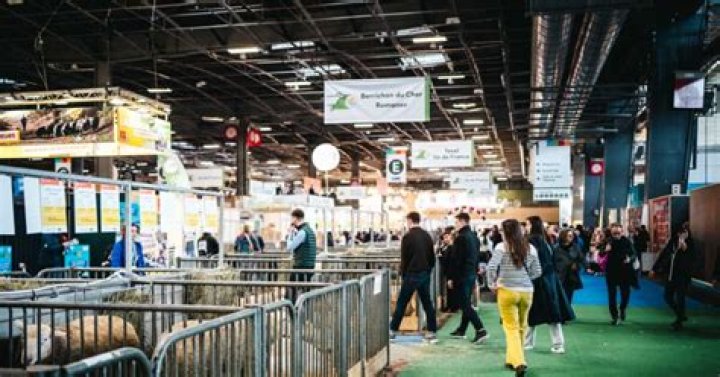 Exploring The Enigma Of Sofie Rain Video