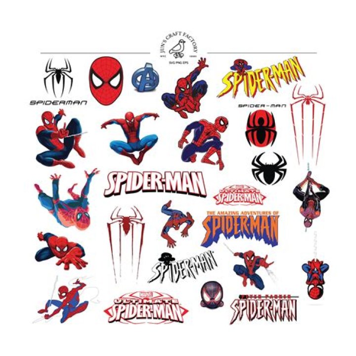 Spaiderman: The Unconventional Hero Of The Web