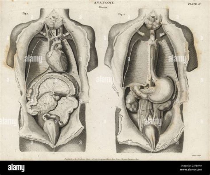 Unveiling The Mystery Of Tarrare Autopsy: A Glimpse Into The Life Of A Human Curiosity