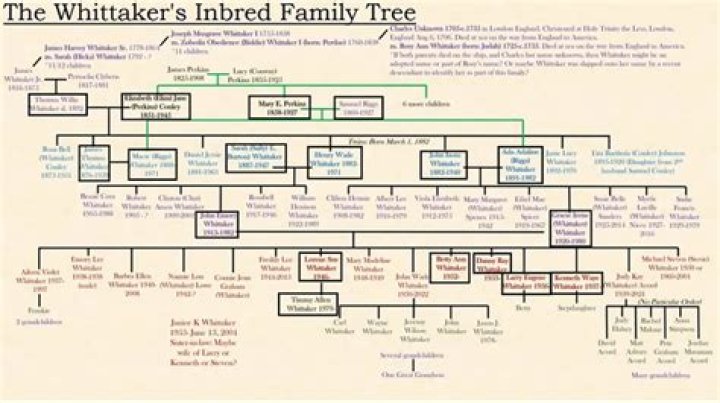 The Intriguing Whittaker Family Tree: Unraveling Generations Of Heritage
