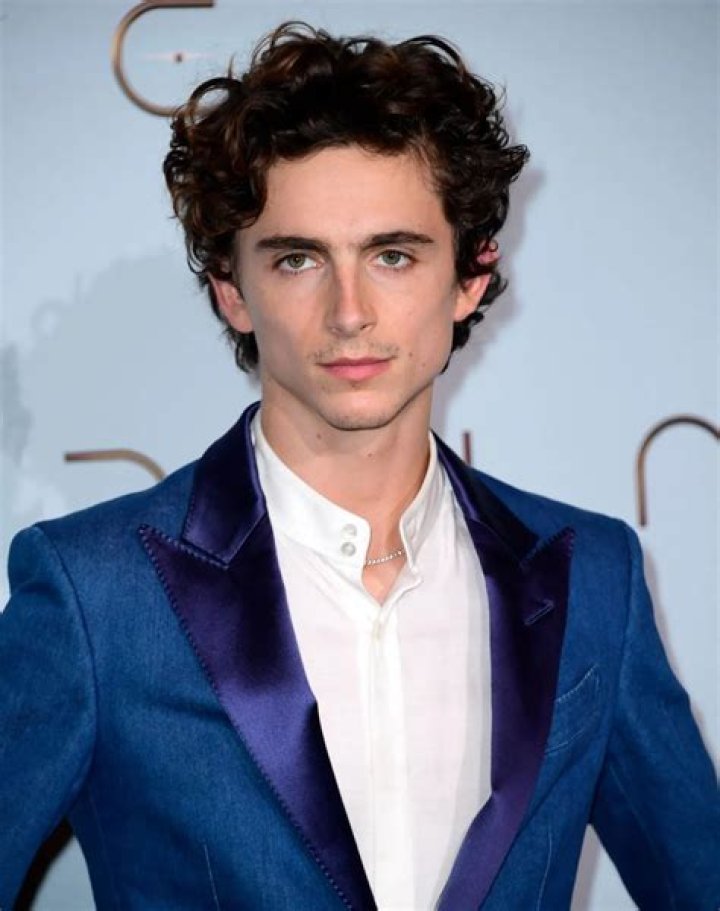 Timothée Chalamet: A Journey Through Talent And Passion