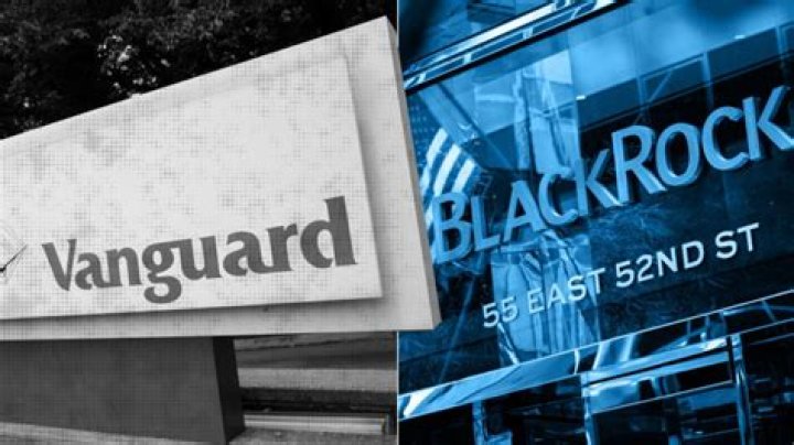 Understanding Vanguard And BlackRock Companies: Giants Of Asset Management