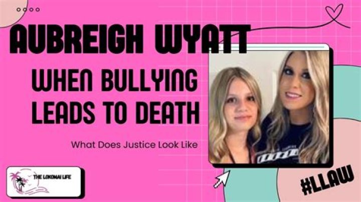 Understanding The Bullying Experience Of Aubrey Wyatt