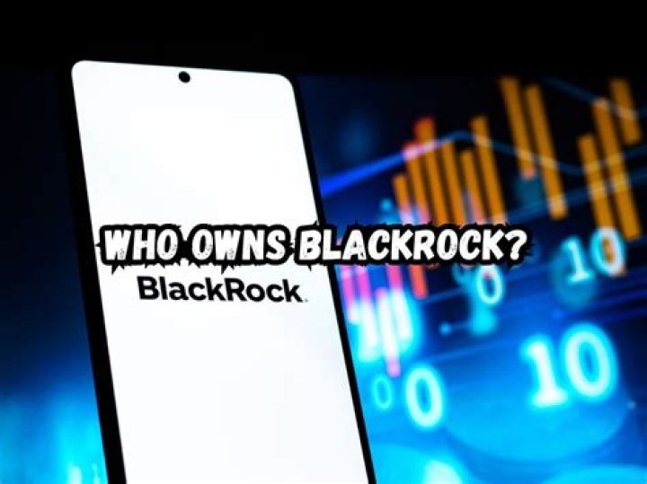 Unraveling The Ownership Of BlackRock Company
