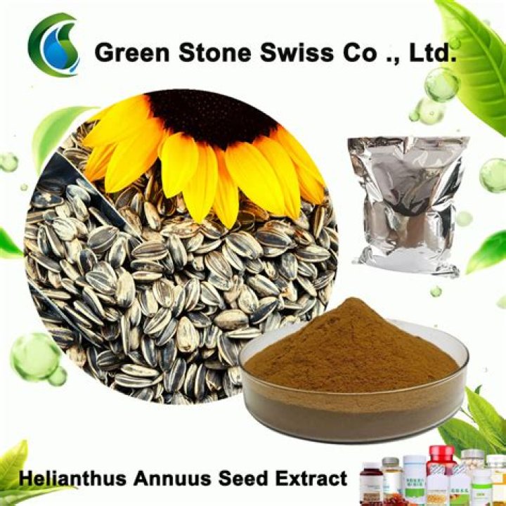 Discovering The Best Whole30 Sunflower Seeds Manufacturer