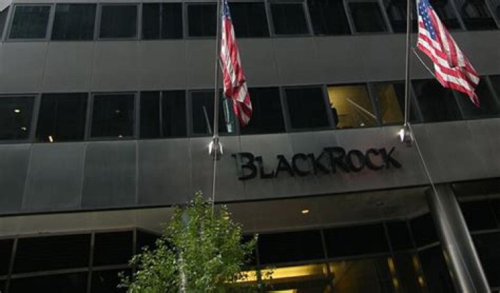 Understanding BlackRock: A Comprehensive Guide From Wikipedia