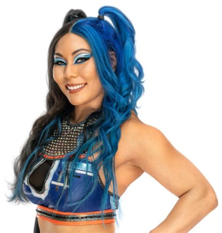 The Ultimate Guide To WWE Michin: History, Matches, And Impact