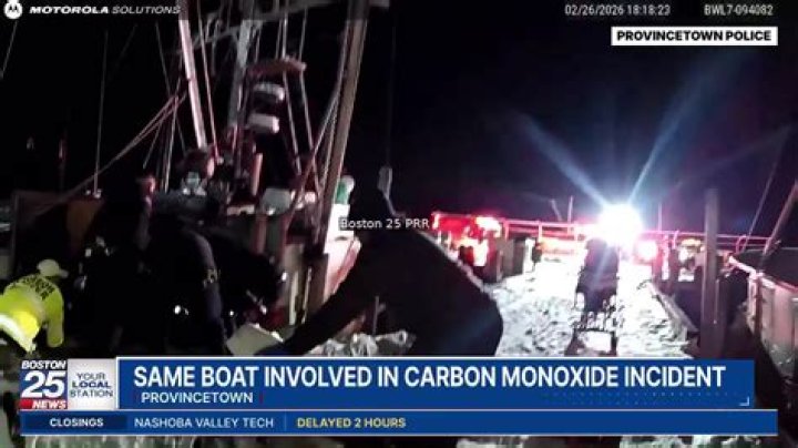 Discover The Captivating Yankee Rose: A Marvelous Story