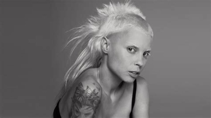 Unveiling The Enigmatic Yolandi Visser: A Journey Through Her Life And Career